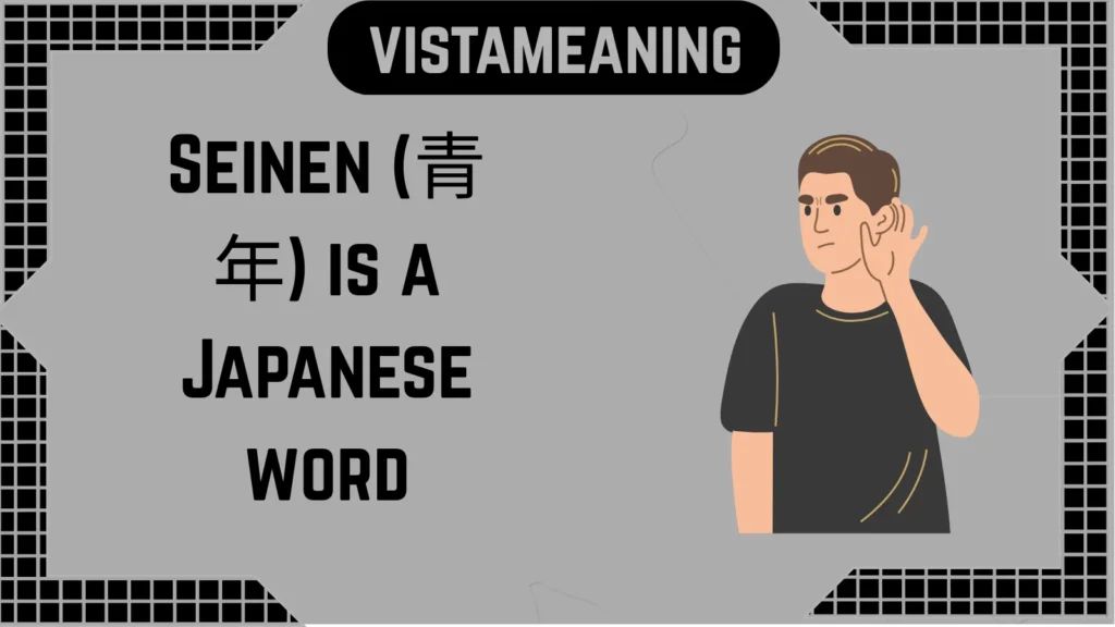 What Does “Seinen” Mean